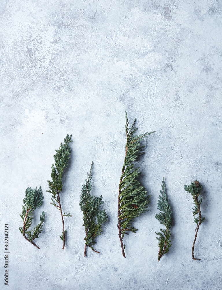 conifer tree branches on a blue painted background