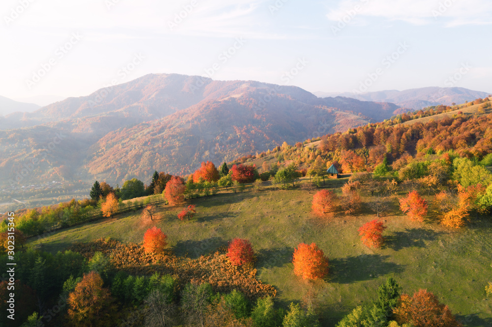 Picturesque autumn meadow with wooden house and red beech trees in the mountains