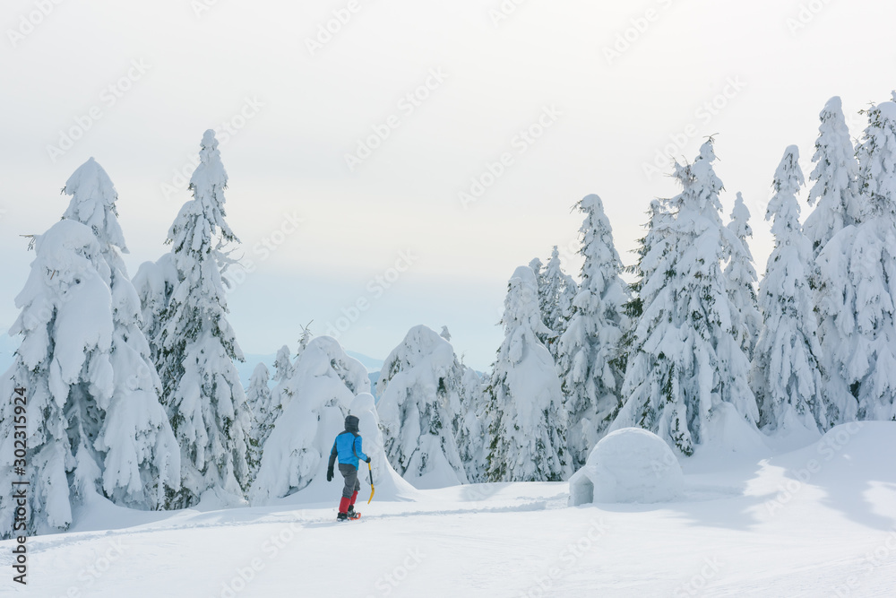 Man in blue jacket building igloo in the high mountain. Fantastic winter scene