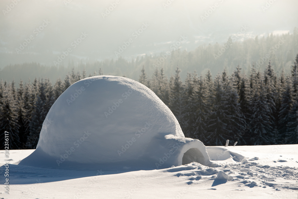 Real snow igloo house in the winter Carpathian mountains. Snow-covered firs on the background