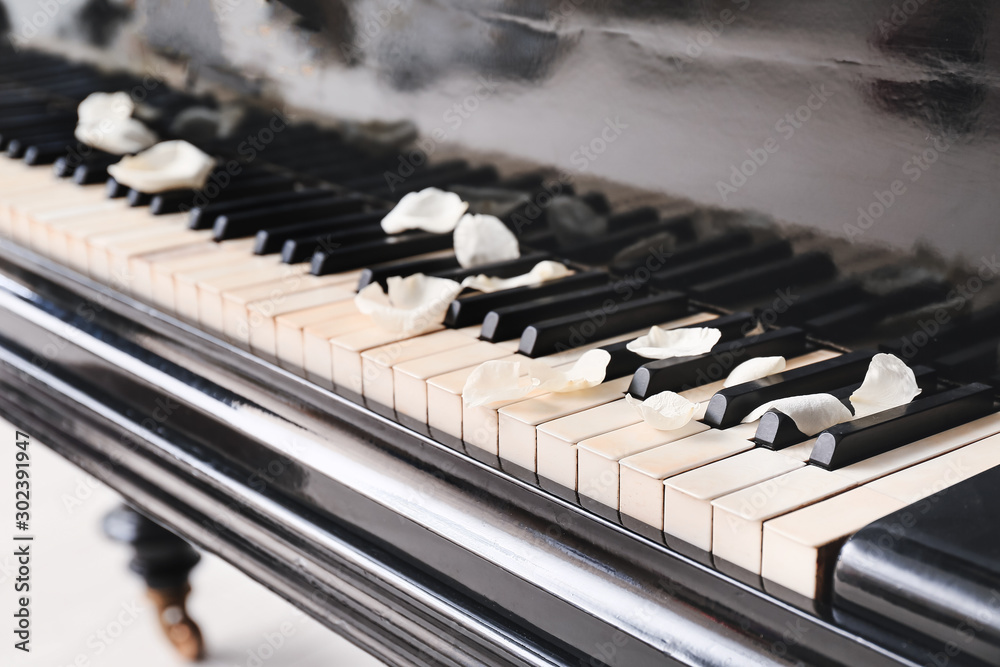 Keys of stylish grand piano with rose petals, closeup