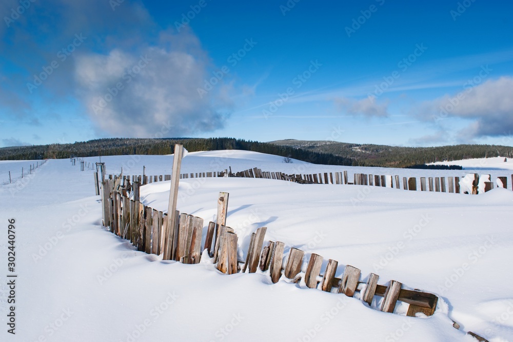 Beautiful white snowy european winter landscape