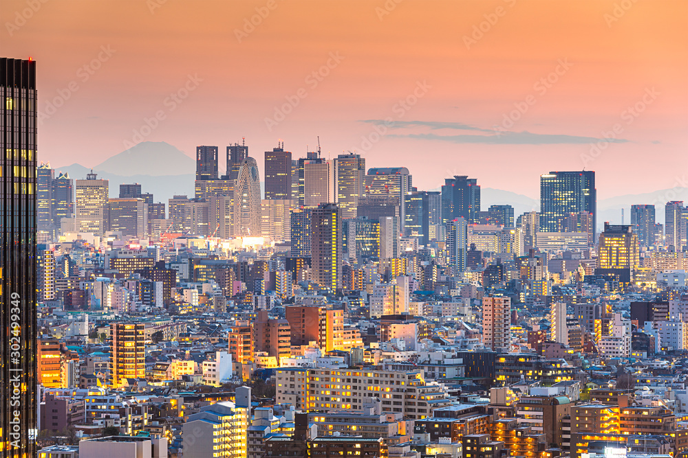 日本东京，新宿区和富士山的城市景观