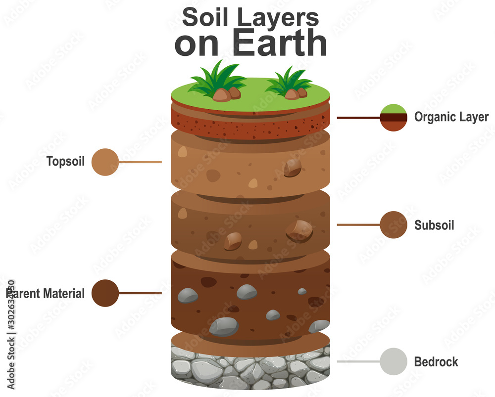 Layers of the Earth on white background