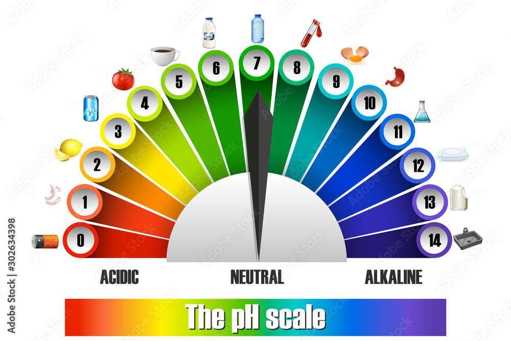 白色背景上的pH刻度