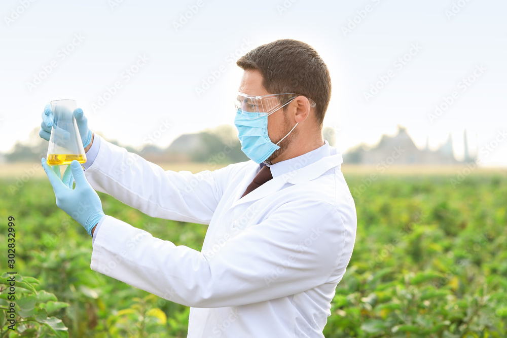 Male agricultural engineer working in field