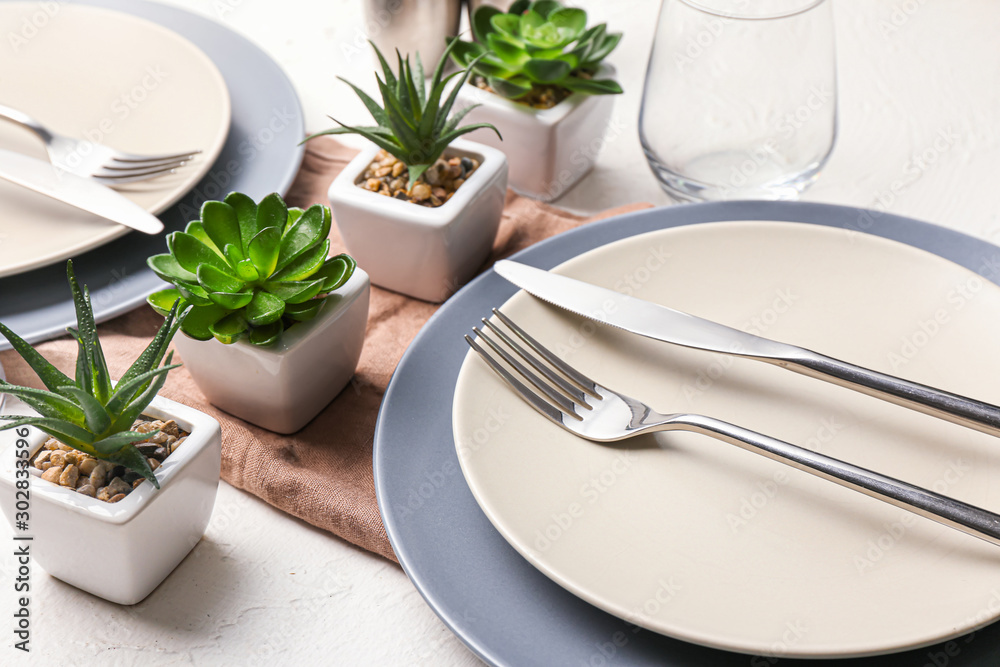 Beautiful table setting with plants on white background