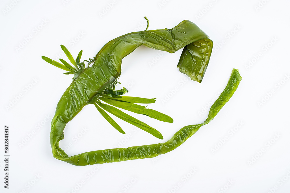 a fresh green sea cabbage stem on a white background