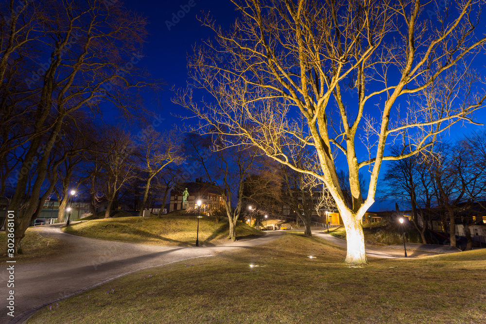 Beautiful alley in the park at night in Alesund town, Norway