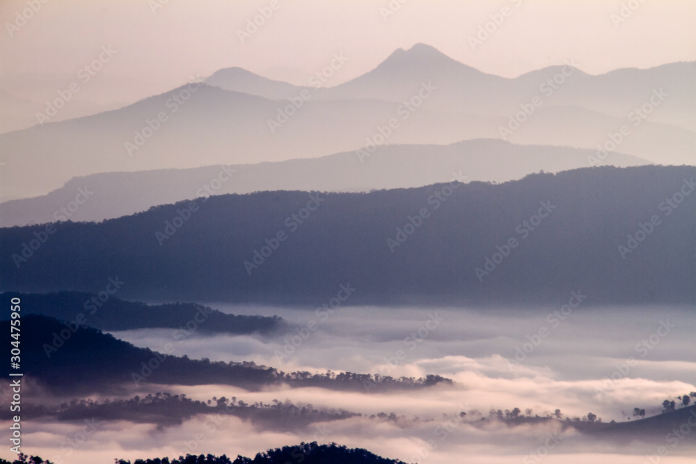 山上有雾