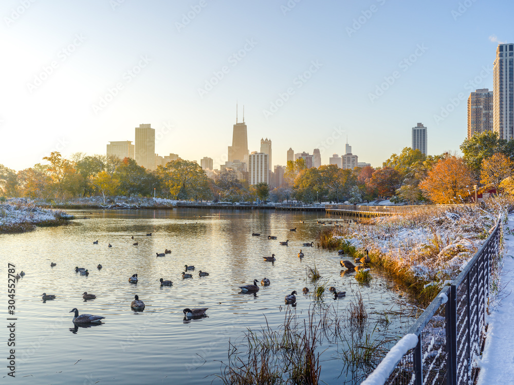 Chicago Lincoln Park fall foliage in snow