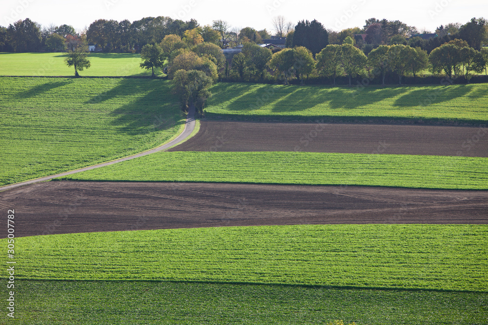 landscape with fields and meadows in dutch province of south limburg