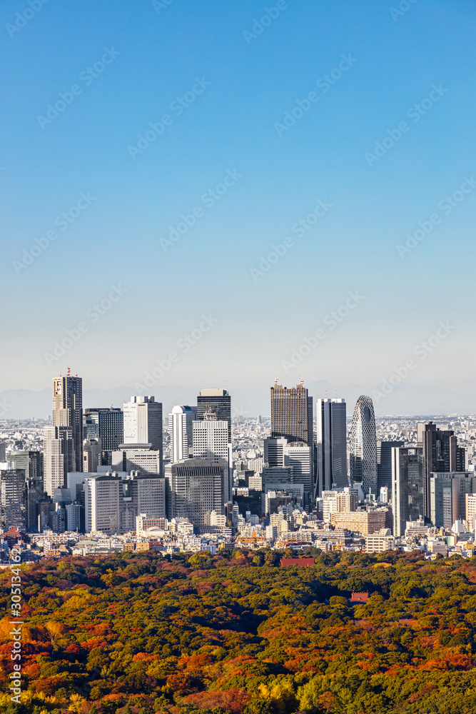 東京新宿の風景Scenery of Japan in Tokyo Shinjuku 