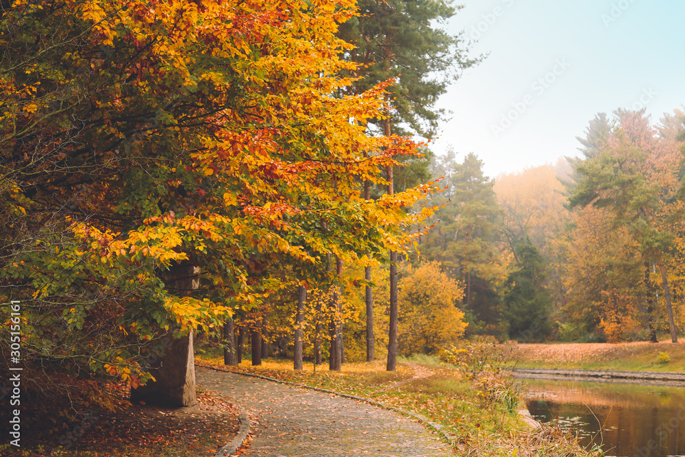 View of beautiful autumn park with pond