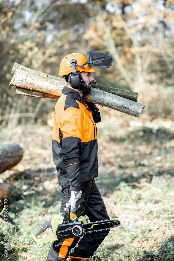 Professional lumberman in protective workwear with a chainsaw carrying wooden logs during the work o