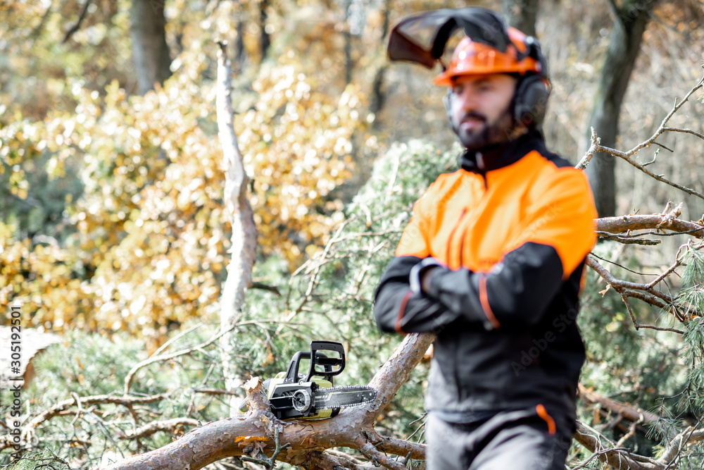 Waist-up portrait of a professional lumberman in harhat and protective workwear standing in the pine