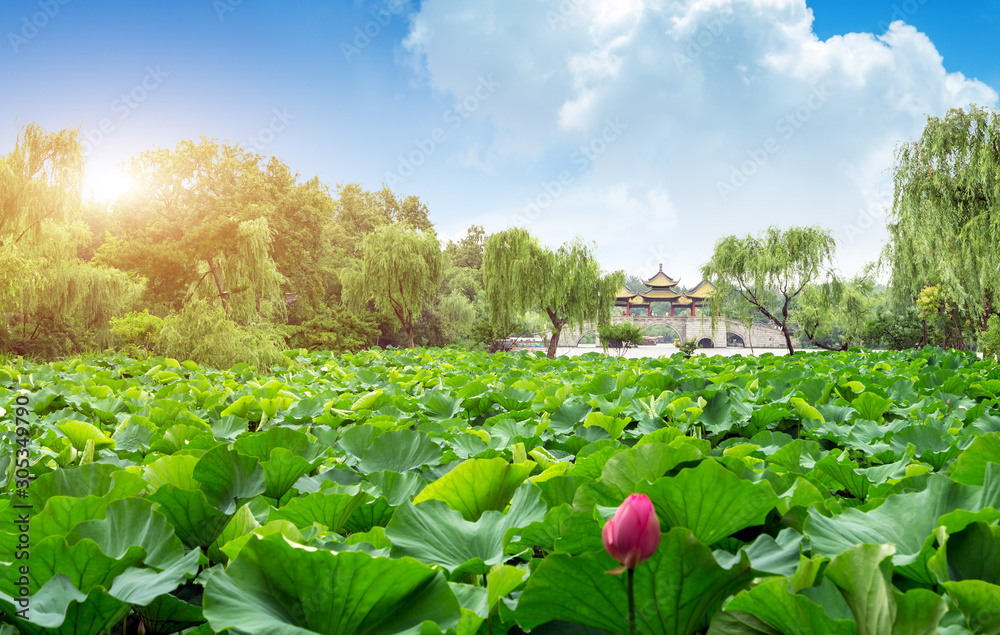 Yangzhou Slender West Lake Wuting Bridge