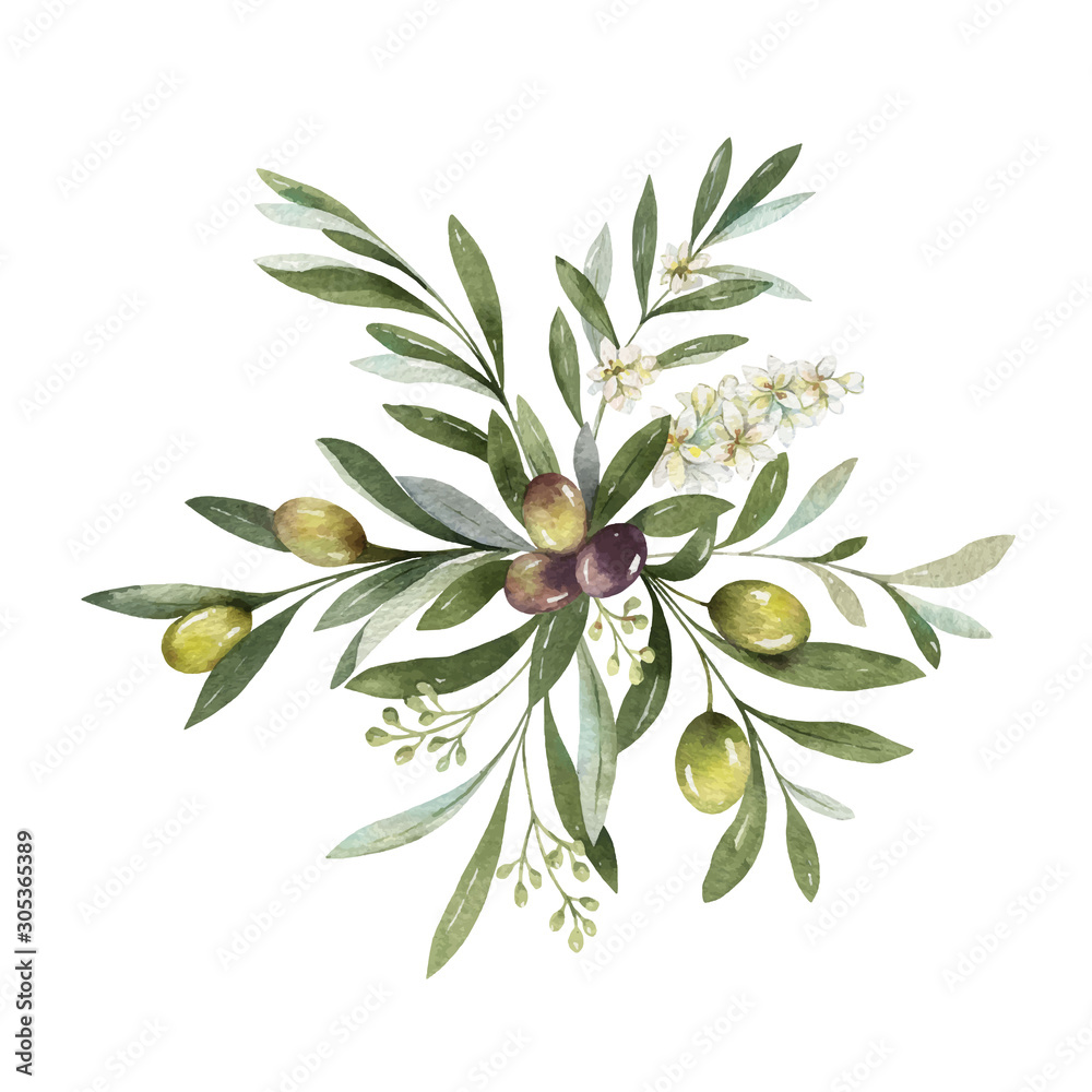 Watercolor vector bouquet of olive branches and flowers.