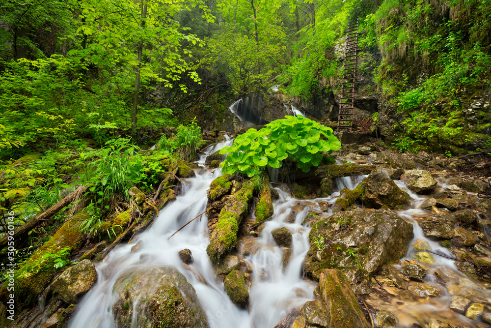 Waterfall in a lush gorge in Slovenský Raj, Slovakia