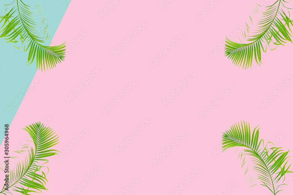 Creative flat lay top view of green tropical palm leaves millennial pink paper background with pinea