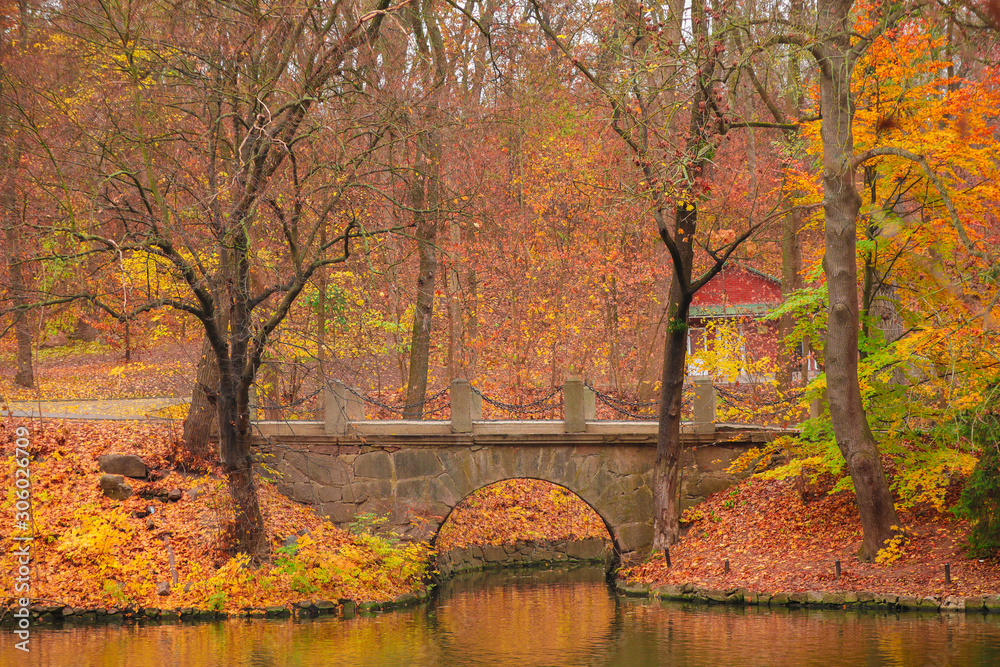 Stone bridge in autumn park