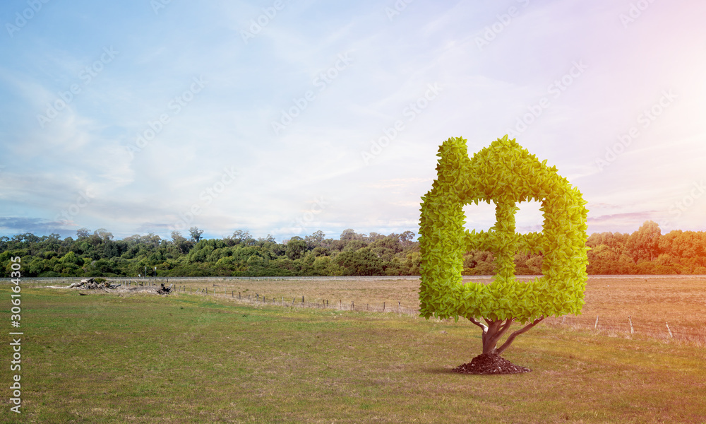 Green plant in shape of house grows at green field