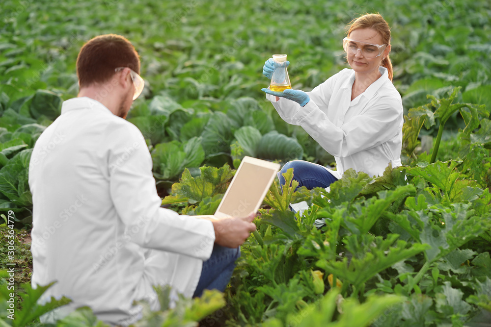 Agricultural engineers working in field