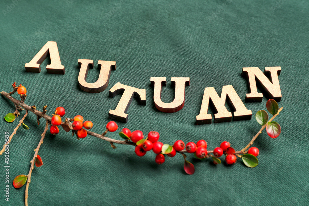 Word AUTUMN with berries on sweatshirt, closeup