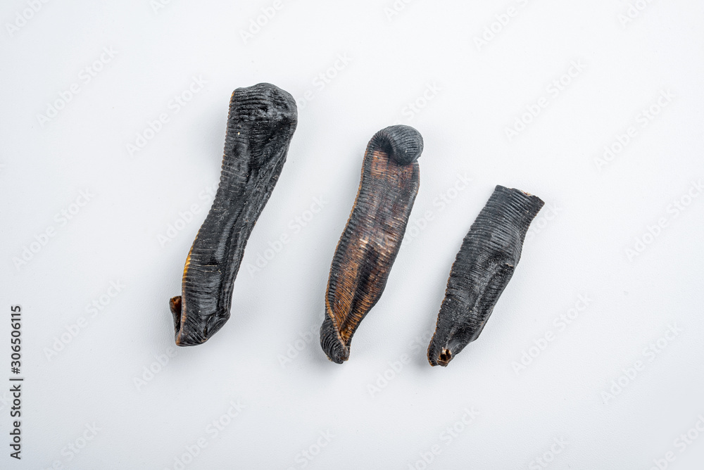 Chinese medicinal herbs leech on white background