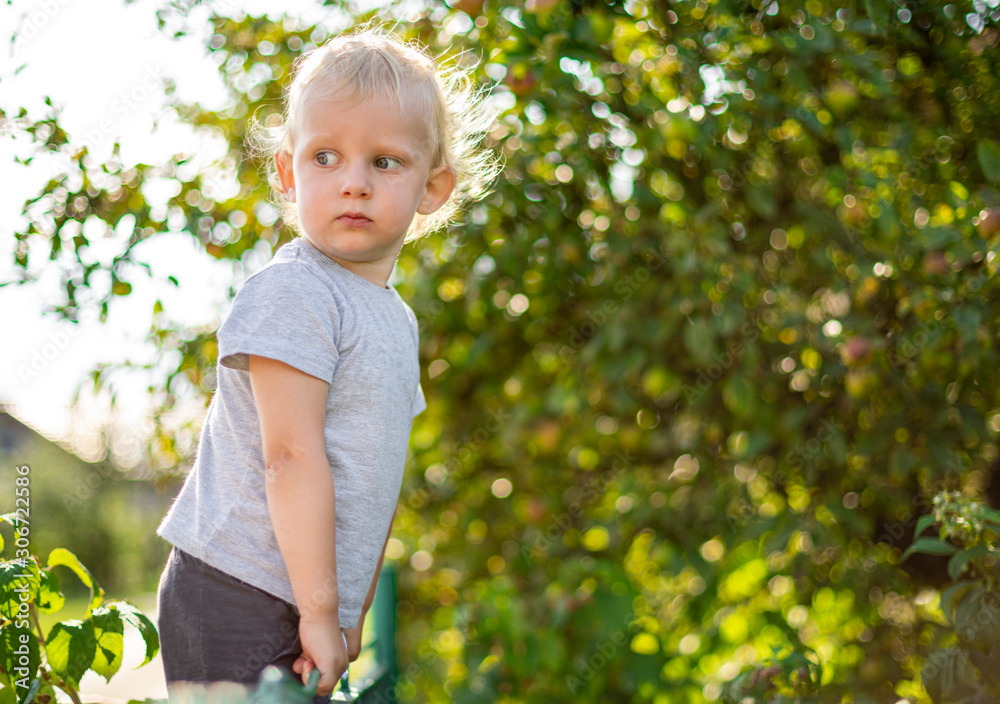 Portrait of little boy during playing in backyard