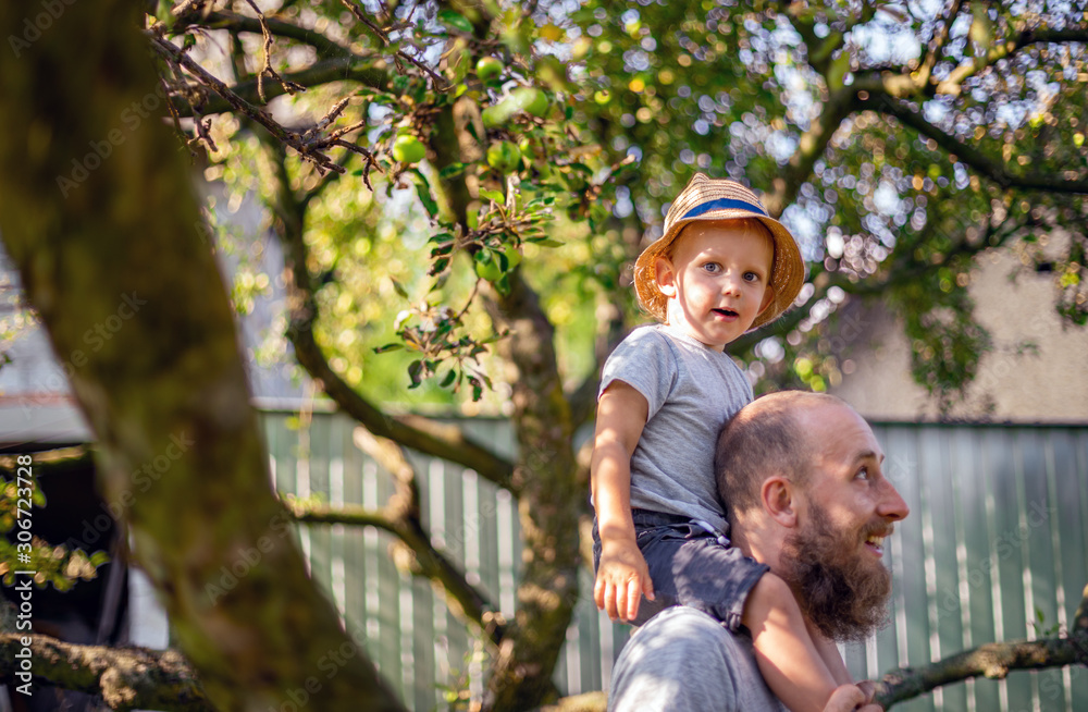 Small child sitting piggyback on his father back in backyard garden