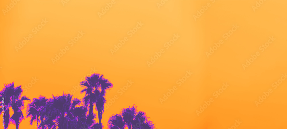 Beautiful sunset of Los Angeles palm trees synth wave style