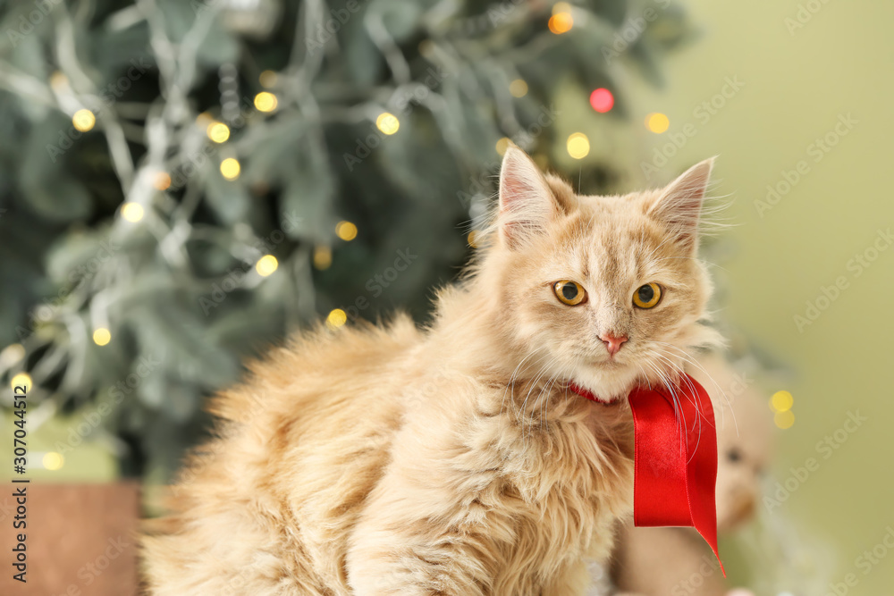 Cute funny cat in room decorated for Christmas