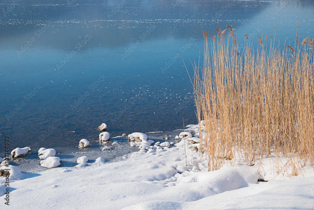 雪域湖岸，冰封水面，冬季背景，带复制空间和芦苇