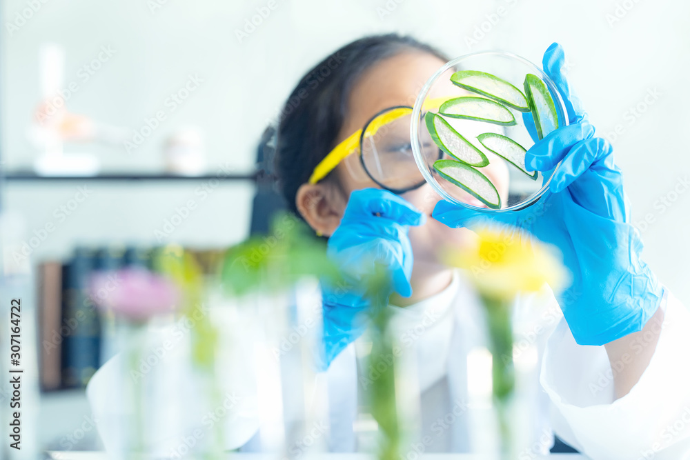 Asian girl leaning and education science lab research Aloe Vera with microscope for Natural aromatic