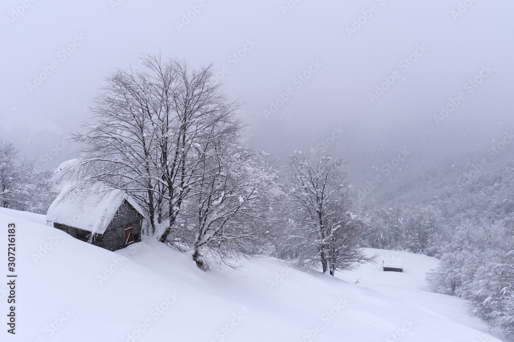 雪屋奇景