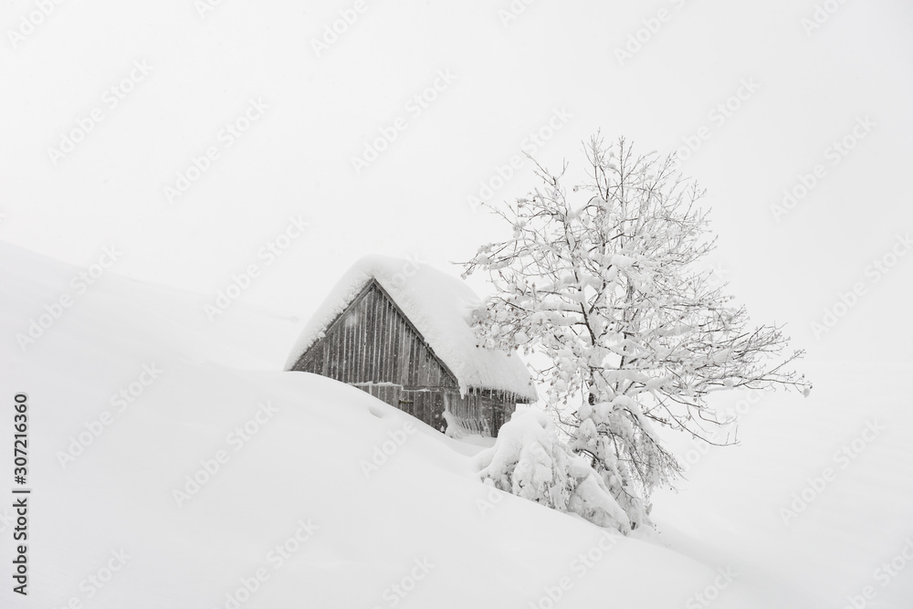 雪屋奇景