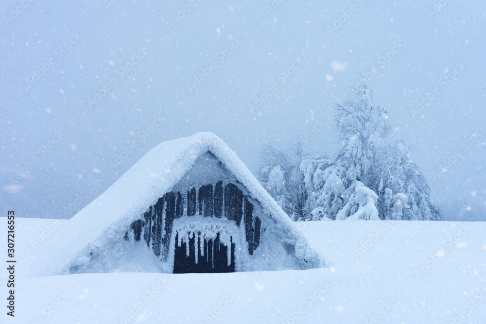 雪屋奇景