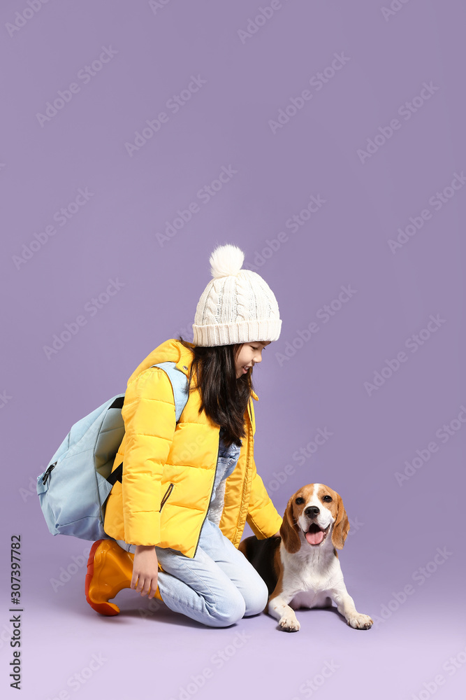 Little Asian girl with cute beagle dog on color background