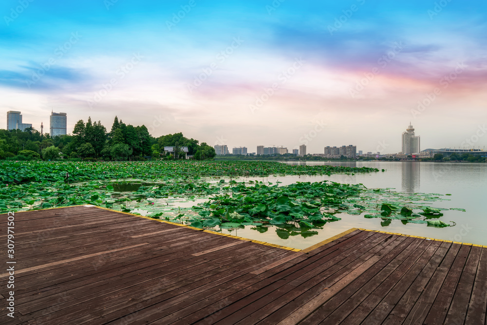 Nanjing Lake Park and Urban Architecture Landscape Skyline