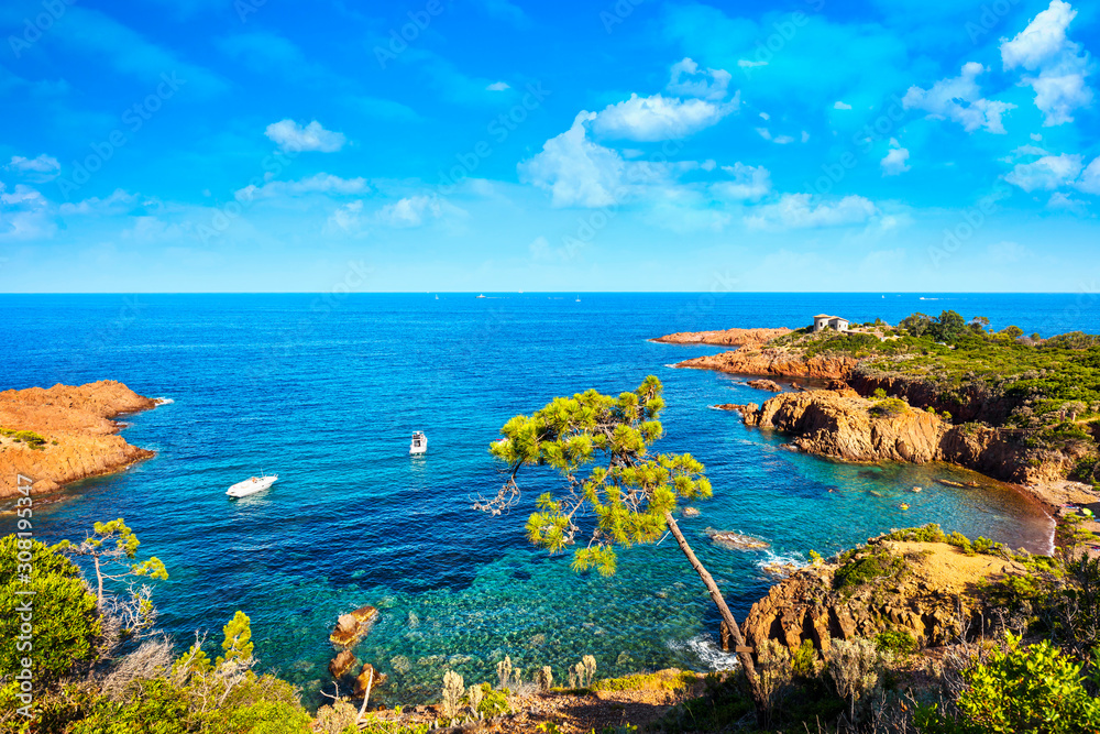 Esterel, tree, rocks beach coast and sea. Cote Azur, Provence, France.