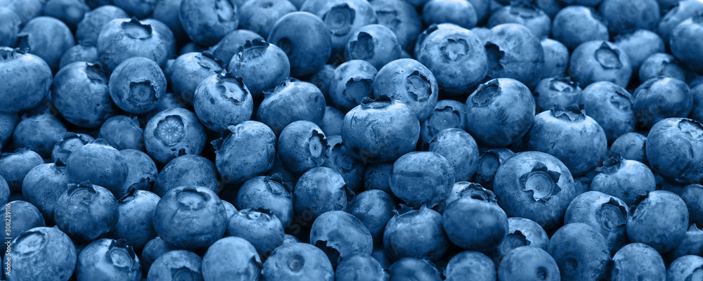 Close up background of blue toned fresh blueberry