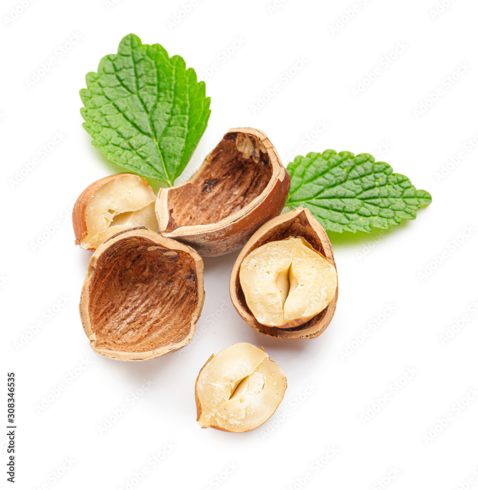 Tasty hazelnuts on white background