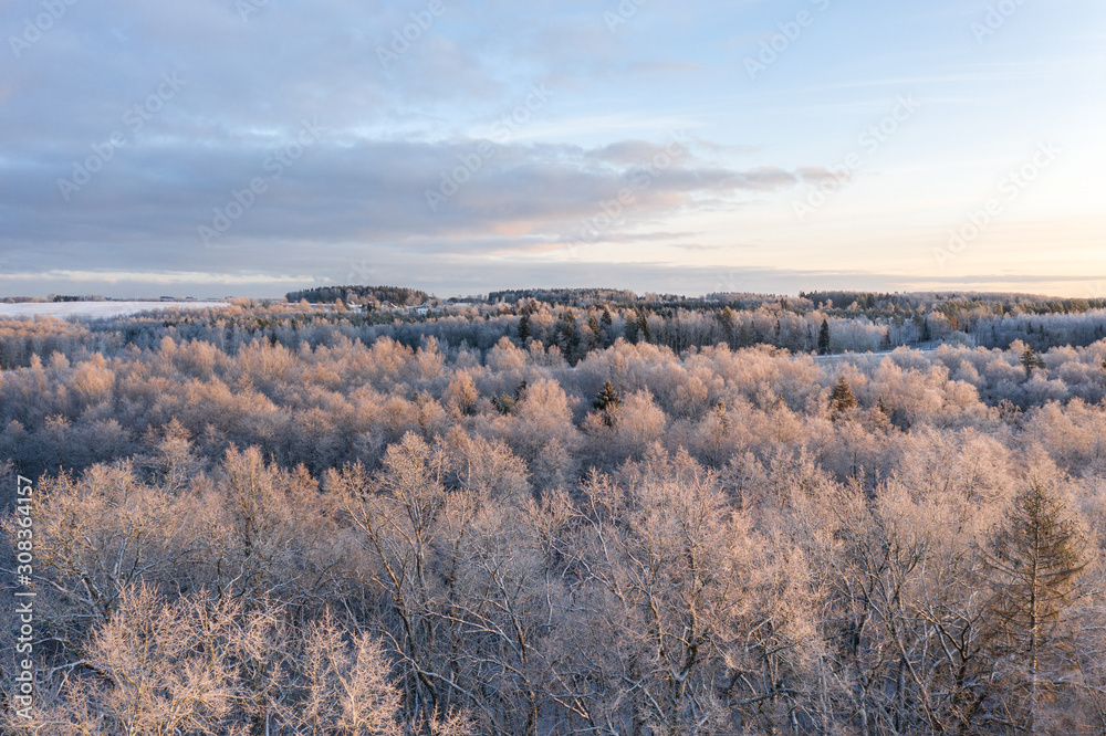 Aerial view of frost covered trees on a cold winter morning lighted by the rising sun. Tartu, Estoni