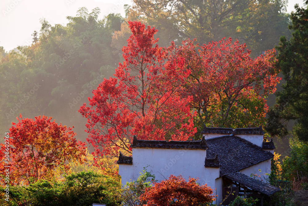 Hui-style architectures in fall forest on the hillside of China.