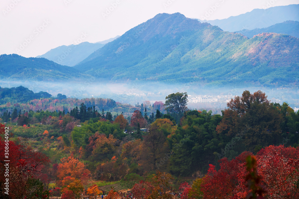 The autumn scenic of Tachuan in Huangshan city, China.