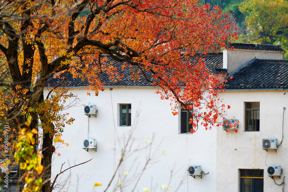 Hui-style architectures in fall forest on the hillside of China.