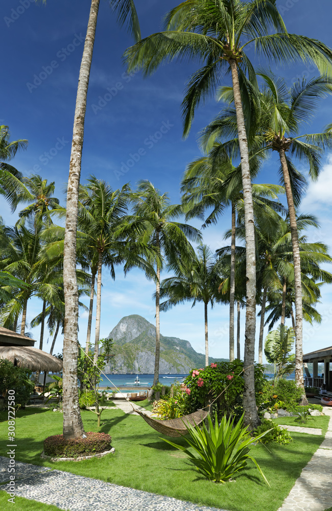 Hammock in the tropical garden