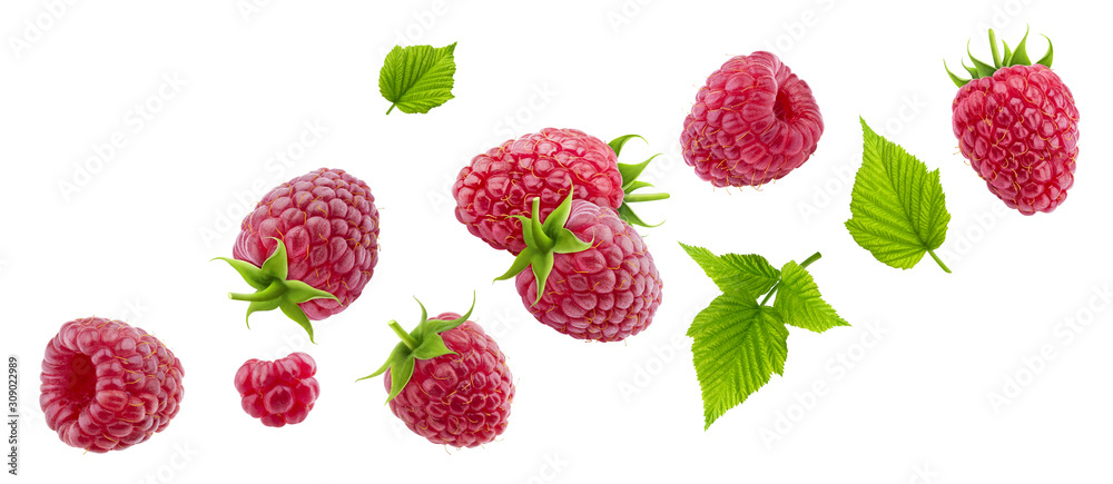 Raspberry isolated on white background