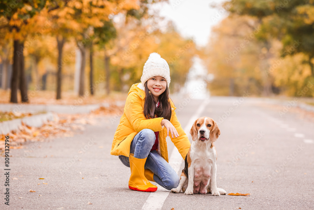 亚洲小女孩与可爱的比格犬在秋季公园